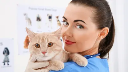 Cat popularity survey