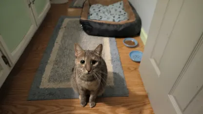 Meet Jessie