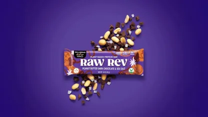 24-Pack: Raw Rev Peanut Butter Dark Chocolate and Sea Salt Protein Bars