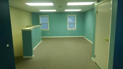 New Office - Do I paint it, leave it, decorate it, or burn it?