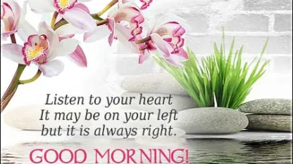 Good morning
