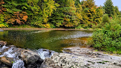 Leaf-peeping