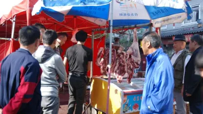 한국 사람들 보세요