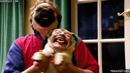My new favorite gif