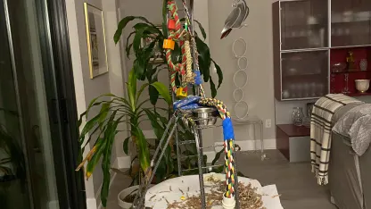 Walter was busy today