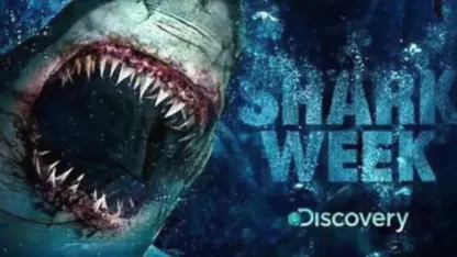 Shark Week