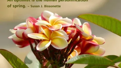 An optimist is the human personification of spring.