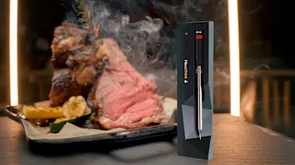 MeatStick 4 Quad-Sensor Meat Thermometer with Wi-Fi Extender Bundle