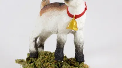 Happy 4/20