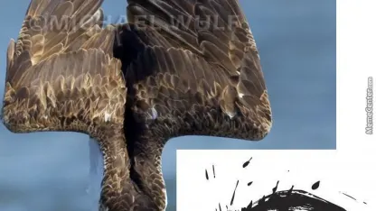 Artist request-I want a meme
