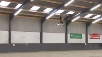 drone does 45 mph with video (inside)