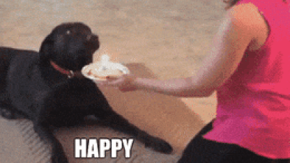 Happy Birthday @studerc!