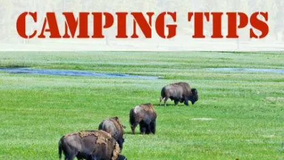 Going to Yellowstone, Need some suggestions