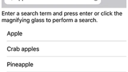 Search Bar