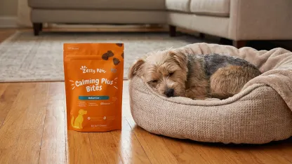 Zesty Paws Supplement Treats for Dogs & Cats