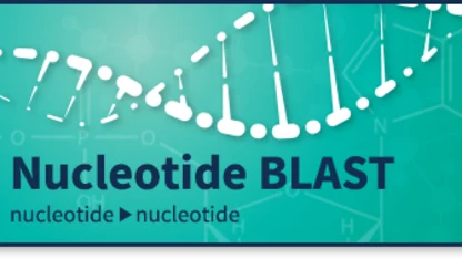 Blast??