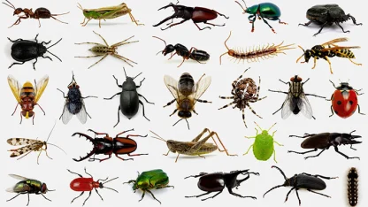 Bugs