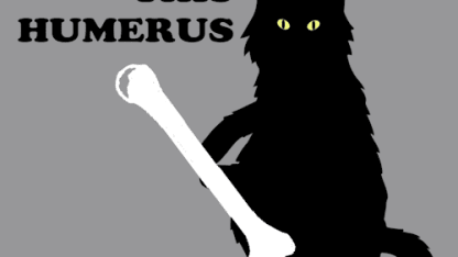 Catshirts