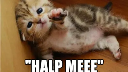 Halp?