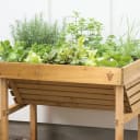 Do you herb garden?