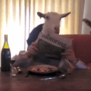 Goat's Day Off