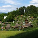 Case Savings vs Smaller Allotment