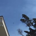 Mike Rowe - Leave Me Adrone!