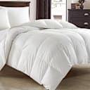 New York & Company Allora Down & Duck Feather Comforter (Queen)