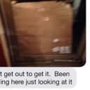My 'other' Fuku shipment -or- why the FedEx guy now hates me...