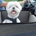 Kallodear Dog Car Seat for Small and Medium Dogs
