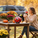National Tree Company 11" Metal Pumpkin Decoration