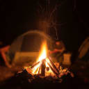 Drinking Terrible -- The Campfire Girl -- featuring a sleepy goat