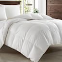 New York & Company Gianna Down & Duck Feather Comforter (Queen or King)