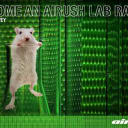 Lab Rat Survey