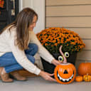 National Tree Company 15" Metal Pumpkin Decoration