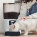 SideDeal Daily: PitPet Smart 6L Automatic Pet Feeder