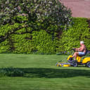 Do you have a yard?