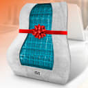 SideDeal Daily: 2-Pack: BLACK+DECKER Memory Foam Lumbar Support Pillow with Cooling Gel