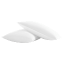 2-Pack: New York & Company Lux Down & Feather Cotton Pillows