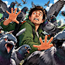 Fuck Flock