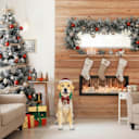 National Tree Company 28" Motion-Activated Labrador Retriever with Wagging Tail