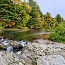 Leaf-peeping
