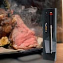 MeatStick 4 Quad-Sensor Meat Thermometer with Wi-Fi Extender Bundle
