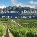 A Wellington Wine Blog (of sorts) Part 3