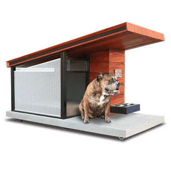 The Canine’s Passive Solar Condominium