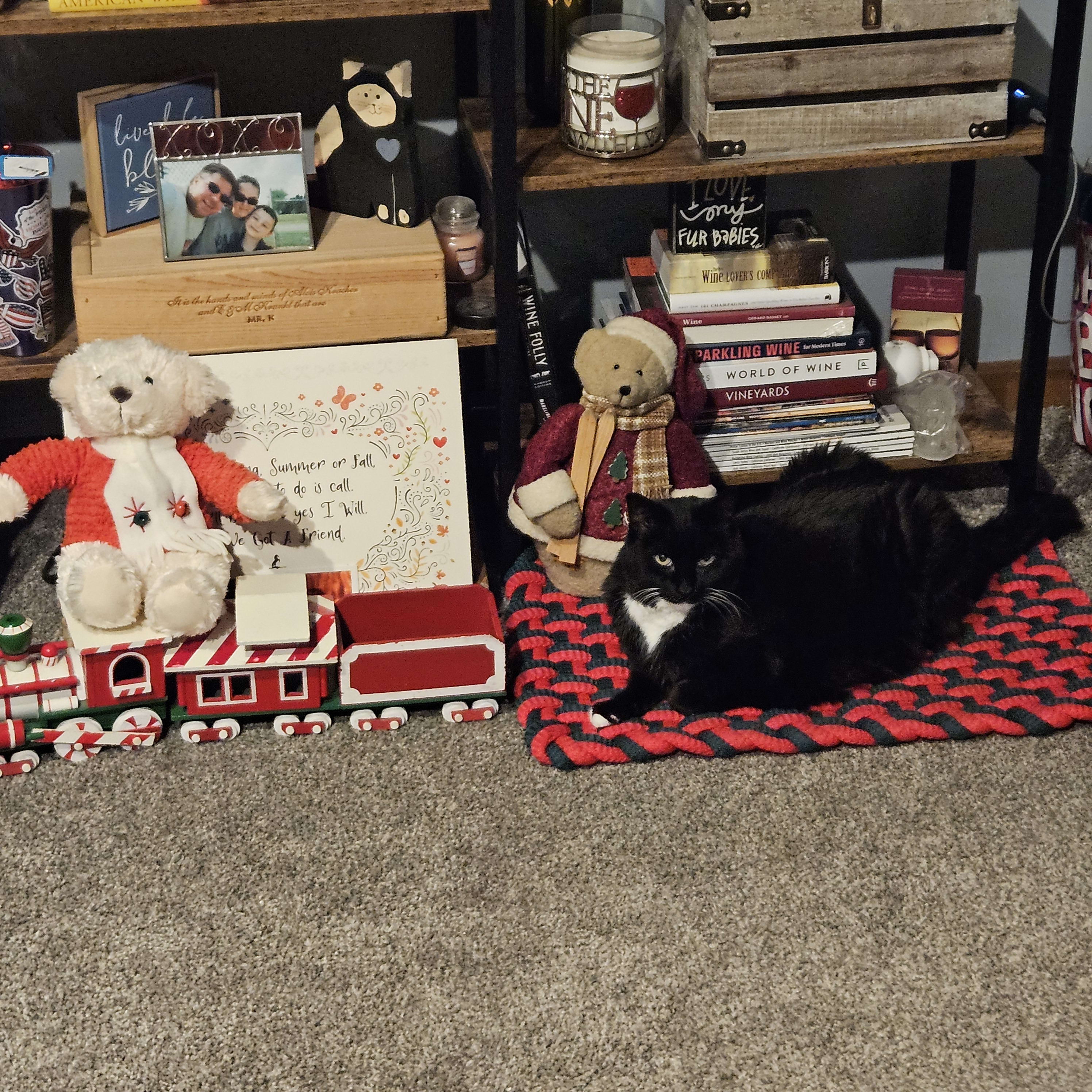QT