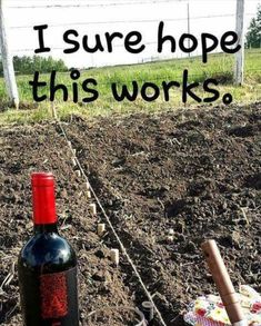 wine garden