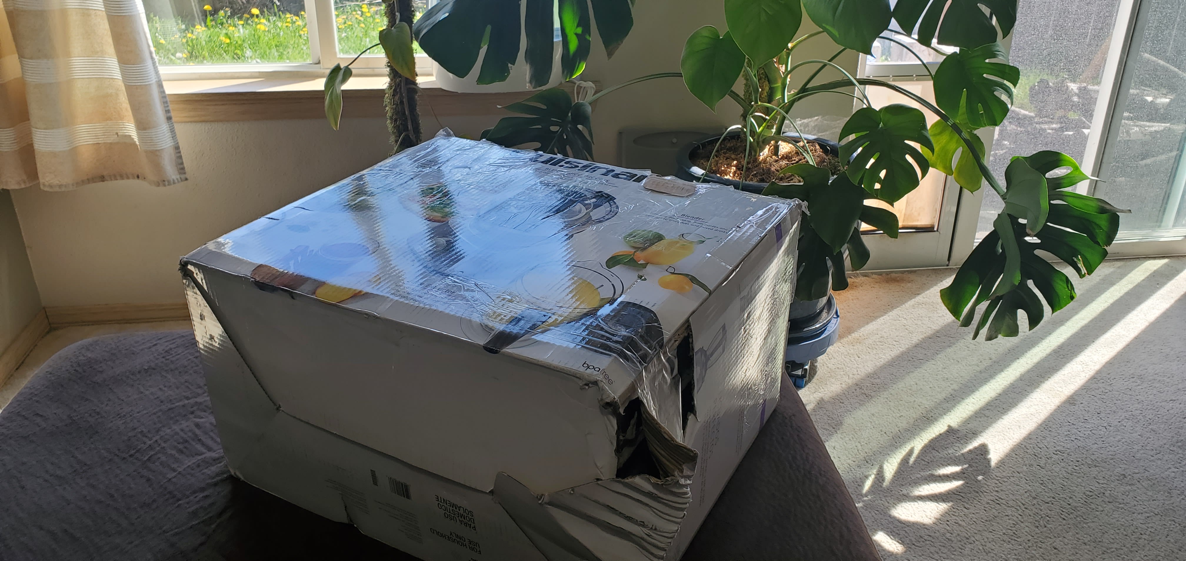 Bad Box