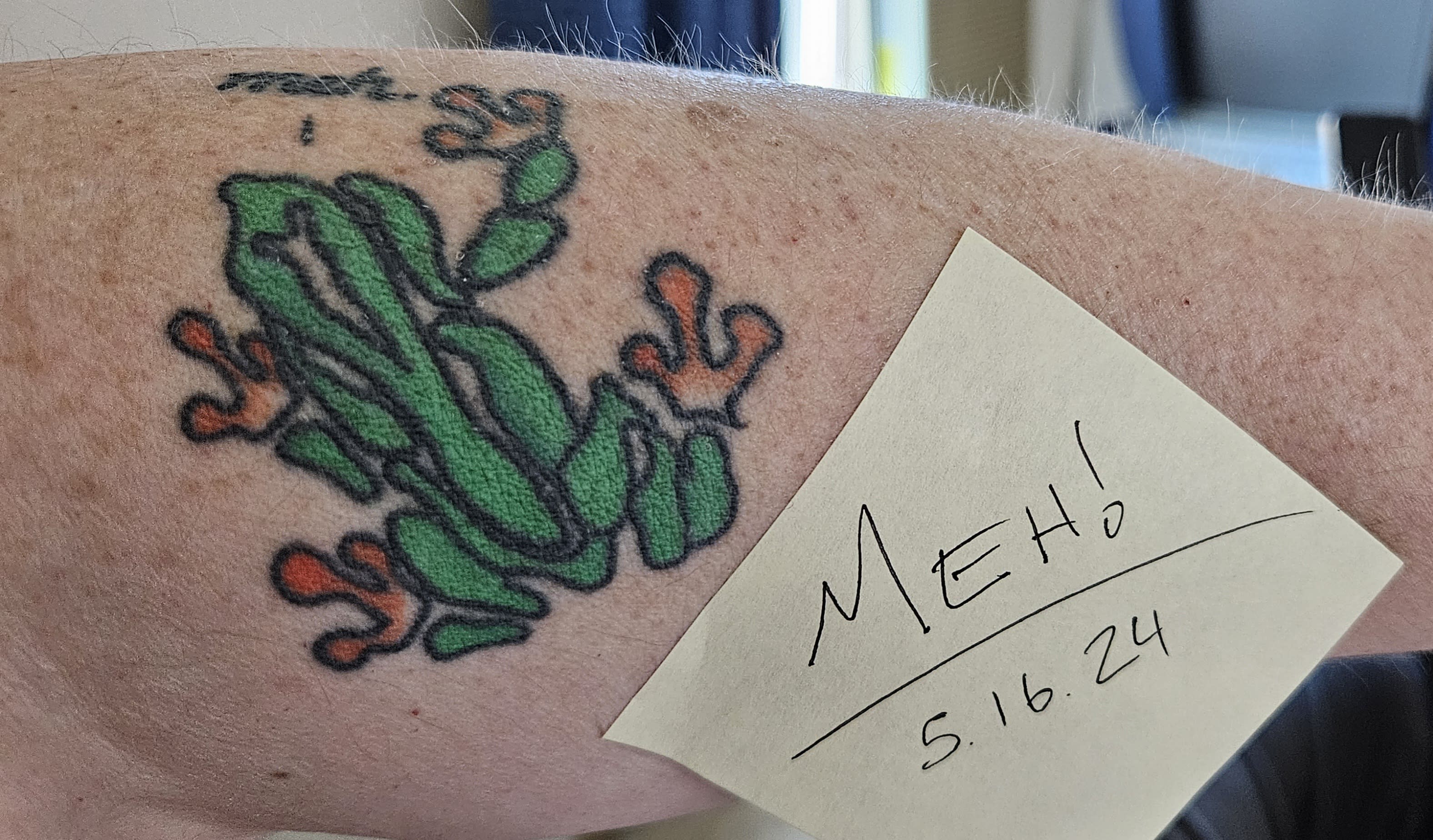 Meh 