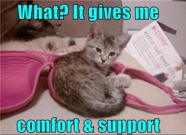 support